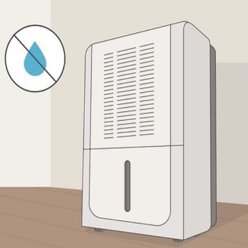 The Connection Between Humidity and Musty Smells