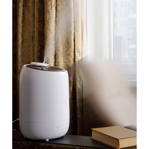 Best Places to Put a Dehumidifier
