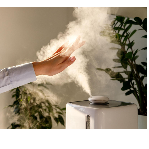 Enhancing Allergy Relief: Additional Air Quality Tools