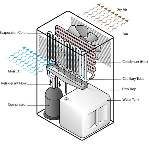 Factors That Affect Dehumidifier Performance Time