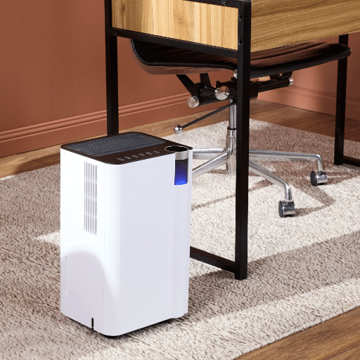 Choosing the Right Small Dehumidifier
