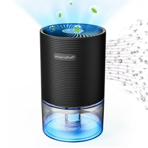 Understanding the Importance of a Dehumidifier in the Bathroom