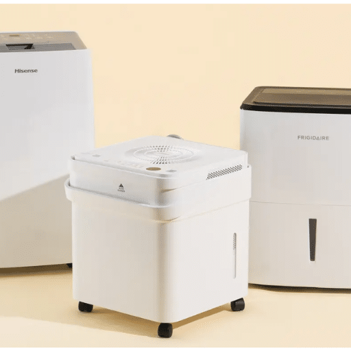How to Choose the Right Small Dehumidifier