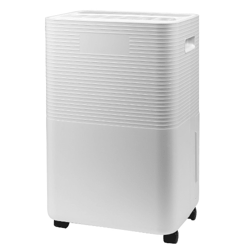 Preventing Water Damage and Maintaining Indoor Air Quality