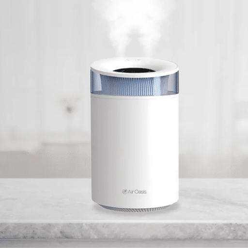 Introduction to Air Purifiers and Humidifiers