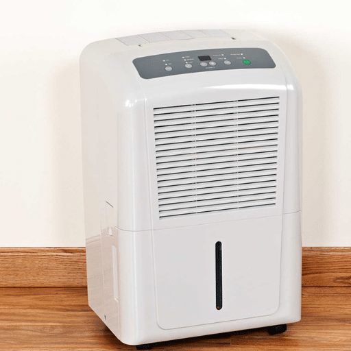 Additional Tips for Mold Prevention