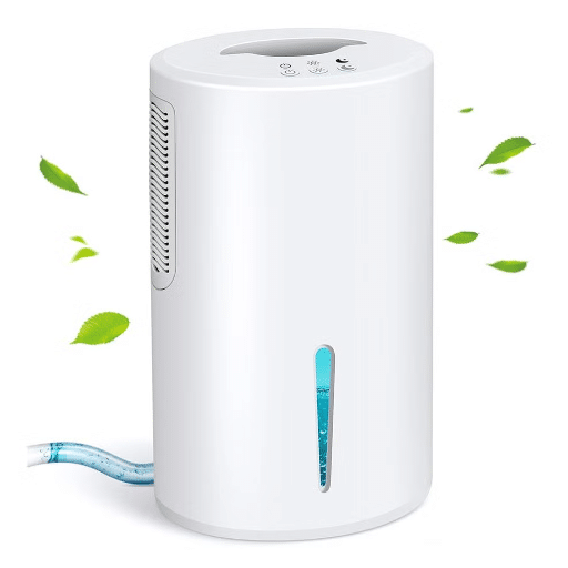 Maintenance Tips for Your Dehumidifier