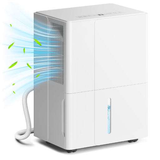 Benefits of Using a Small Dehumidifier with Drain Hose
