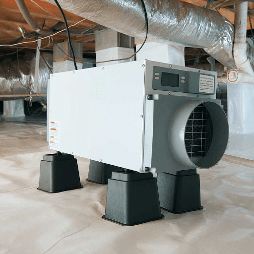 Common Issues in Crawl Spaces