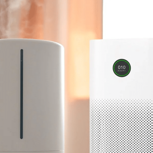 Common User Questions: Humidifier vs Air Purifier