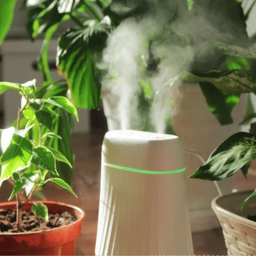 Differences Between Humidifiers and Air Purifiers