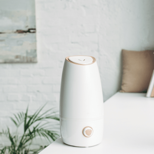 Introduction to Humidifiers and Air Purifiers