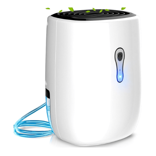 Understanding Humidity in Garages