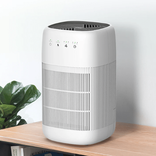 Conclusion: Air Purifier or Dehumidifier?