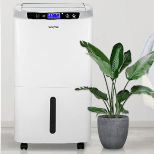 Factors to Consider When Choosing a Dehumidifier