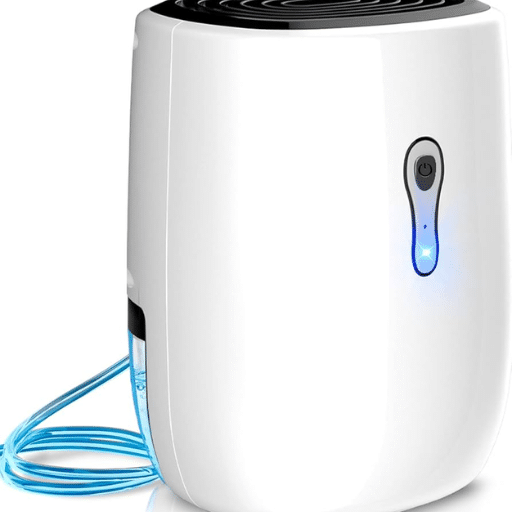 Choosing the Right Bathroom Dehumidifier