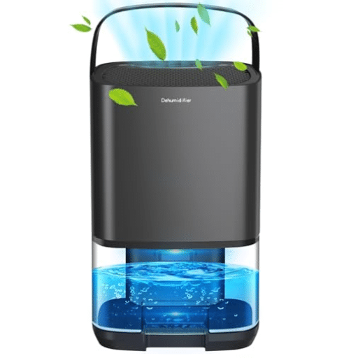 The Importance of Moisture Control in Food Storage