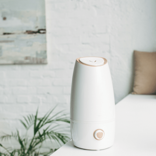 Introduction to Air Purifiers and Humidifiers