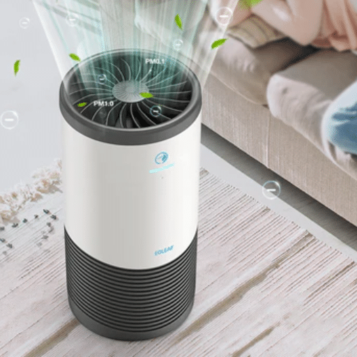 Benefits of Using Air Purifiers and Humidifiers