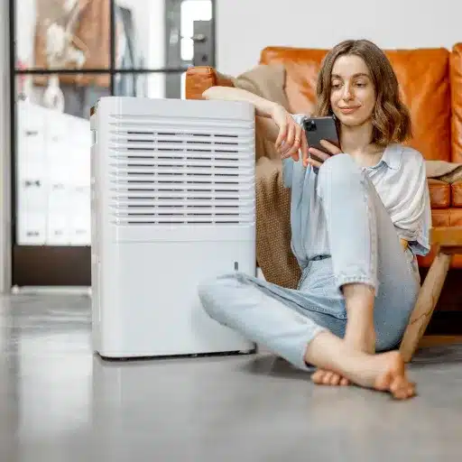 Benefits of Using a Dehumidifier