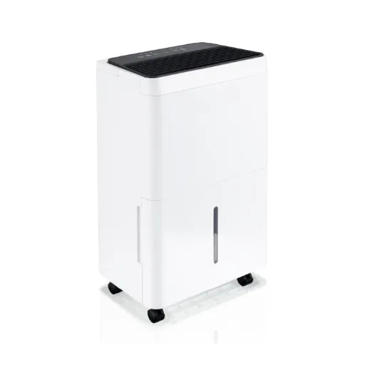 Expert Insights and User Reviews