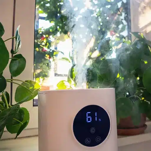 Humidifiers: Benefits and Uses