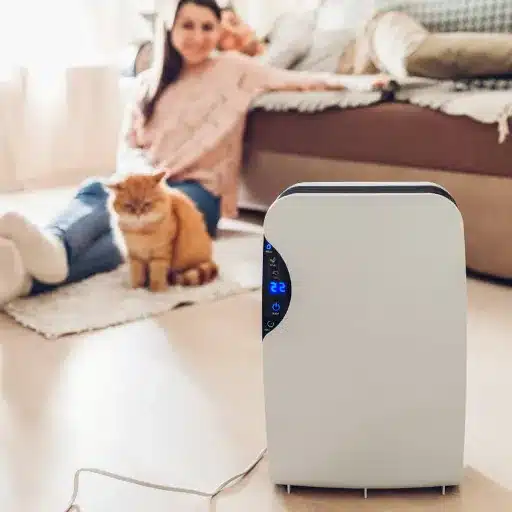 Understanding Dehumidifiers