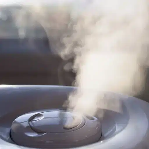 Understanding Humidity and Allergies