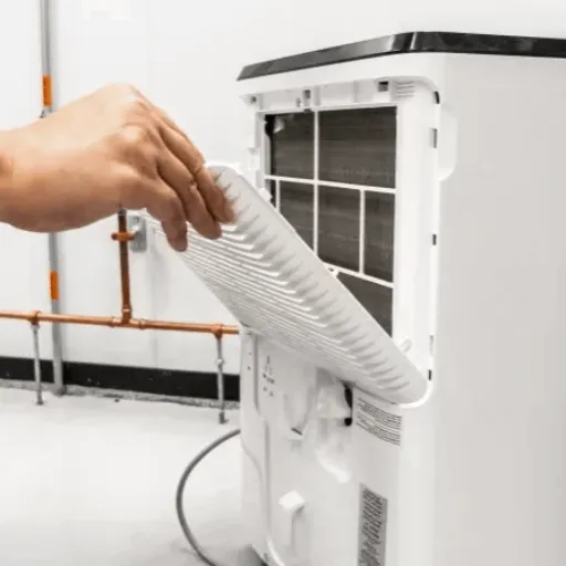 Common Causes of Musty Smells in Dehumidifiers