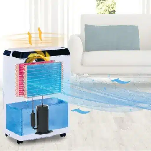 The Relationship Between Humidity and Temperature