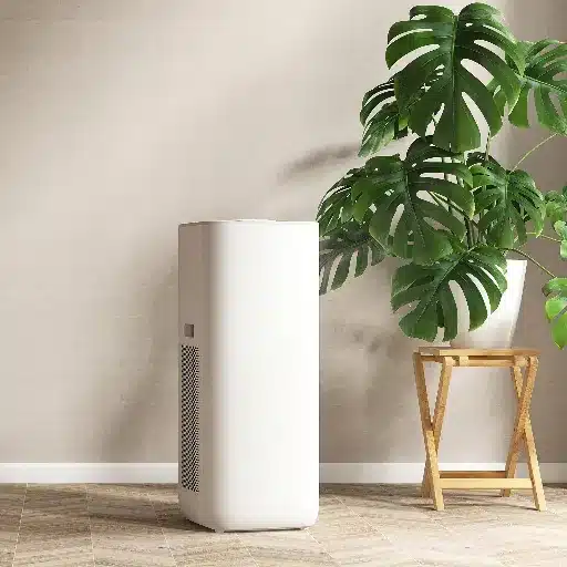 Introduction to Dehumidifiers and Their Functionality