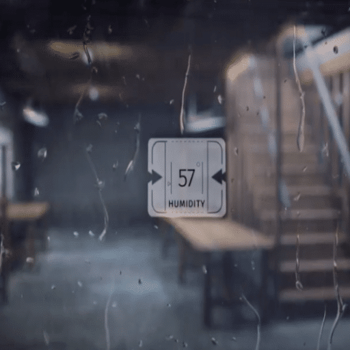 Understanding Basement Humidity