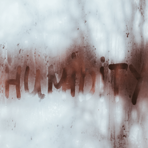 Understanding Humidity