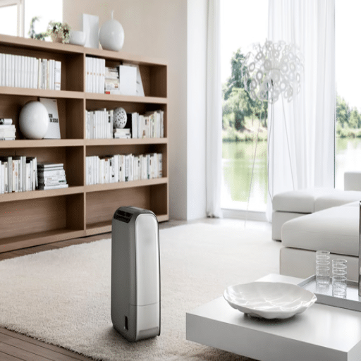 Choosing the Best Small Dehumidifier