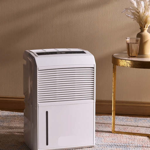 Choosing the Right Dehumidifier for Your Garage