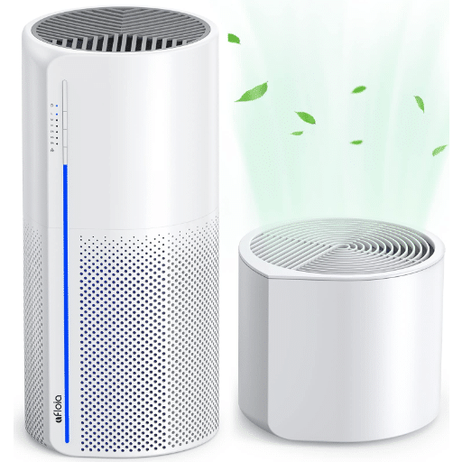 Combining Air Purifiers and Humidifiers