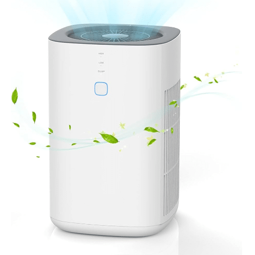 Can Air Purifiers Help with Humidity Control?