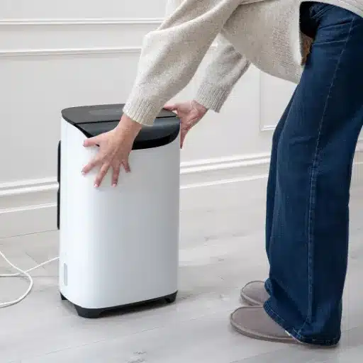 Seasonal Adjustments for Dehumidifier Settings