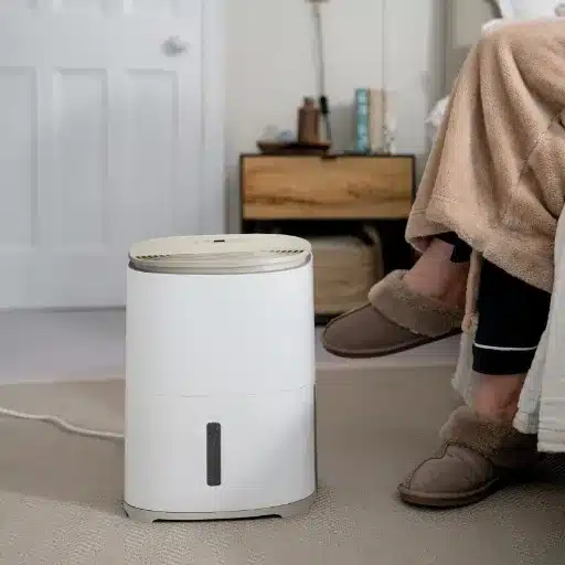 Choosing the Best Humidity Setting for Your Dehumidifier