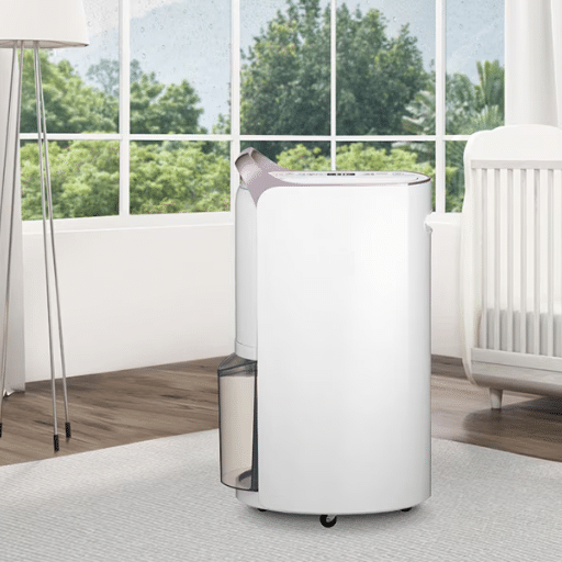 Introduction to Dehumidifiers